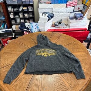 Tailgate Iowa Hawkeyes Gray Cropped Hoodie